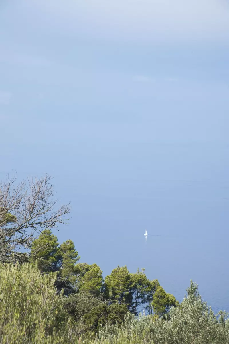 Mallorquinische Küstenlandschaft mit Meer, Pinien und einem Segelboot