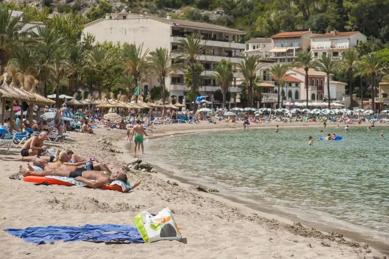 Badebucht auf Mallorca mit hellem Sand, Palmen und flachem Wasser